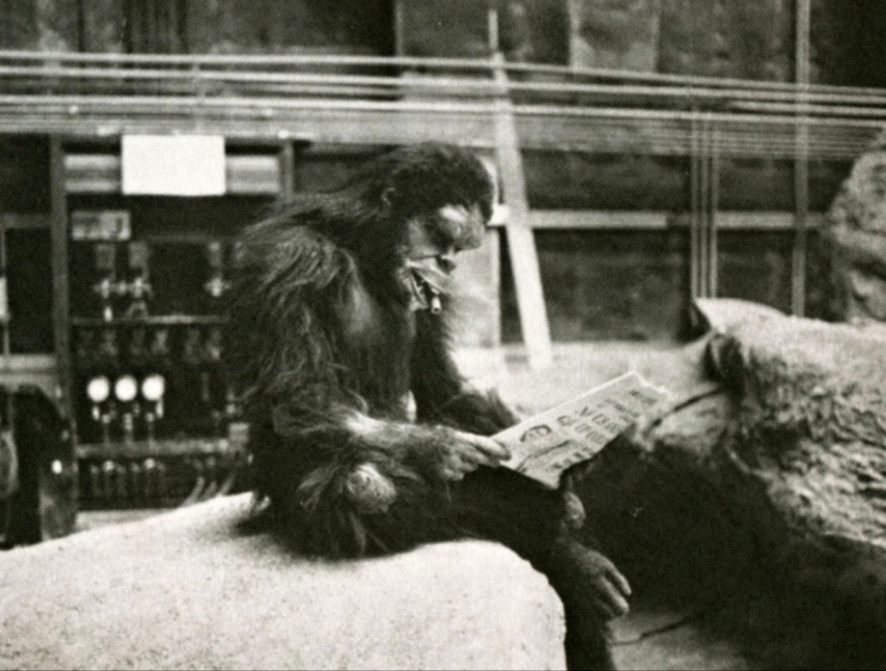 2001, l'Odyssée de l'espace (2001 A Space Odyssey) - Dans les coulisses, 1968.