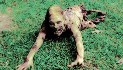 bethrhee:  The Walking Dead premiered 5 years ago today. (October 31st 2010)  The first season of The Walking Dead, an American horror–drama television series on AMC, premiered on October 31, 2010, and concluded on December 5, 2010, consisting of six