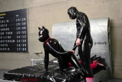 esboy87:  Pup Pavo &amp; @p-shark 