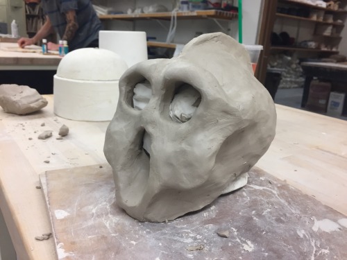 Trying to do clay things, here’s my attempt at an Australopithecus boisei skull