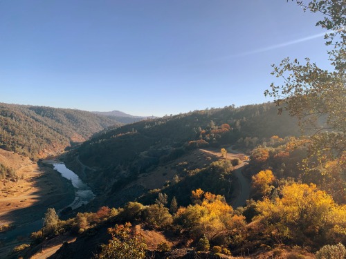 Autumn in gold country is full of gorgeous gold color in the trees. The end of the season was coming