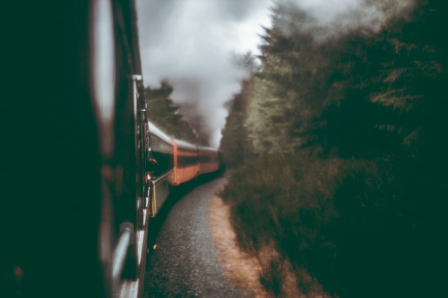 lifeinmotion84:Mt Rainier Fall Train Ride