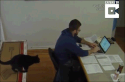 4gifs:Miscalculation on taxes. [video]