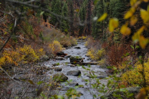 steepravine:Fall Colors Along Crooked RiverThe biggest thing I miss about the west coast are the for