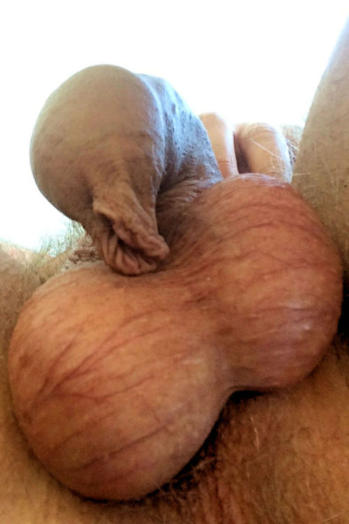 myfavouriteforeskinguys: The most amazing foreskin anteater. erikforeskinoverhang.tumbl