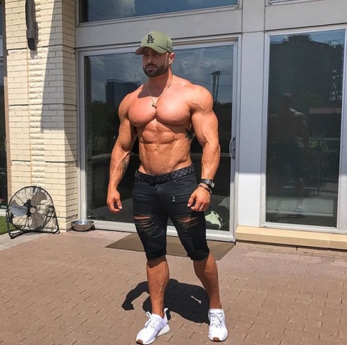 Adonis Files