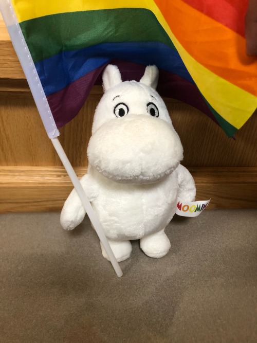MoomiN HaS PriDe FlaG He Says LGBTQIA+ RIGHTS!