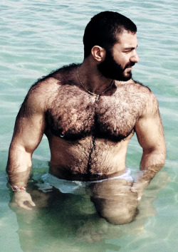 hairy-chests:  http://hairy-chests.tumblr.com