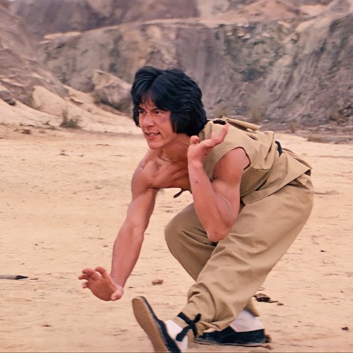 kungfuwushuworld: That isn’t Snake Fist style! What is that? Chien Fu : Hmmph! Cat’s Claw!