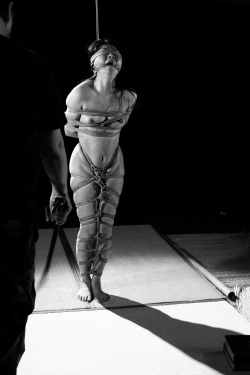 koteotakate:  Photo:Koteo Takate Rope:kai