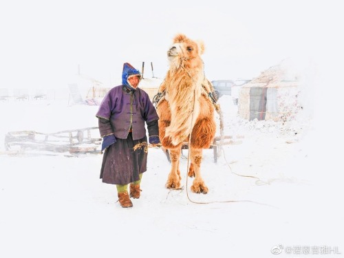 Winter life for people living in Buryat, Hulun Buir Grassland. Photo by 诺恩吉雅HL.