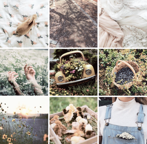 n0thinghatesy0u: ibuzoo:Spring, Summer, Autumn and Winter in pastel ∞