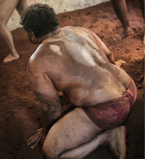 Porn Pics indianbears:  One of many heavy stocky Kushti