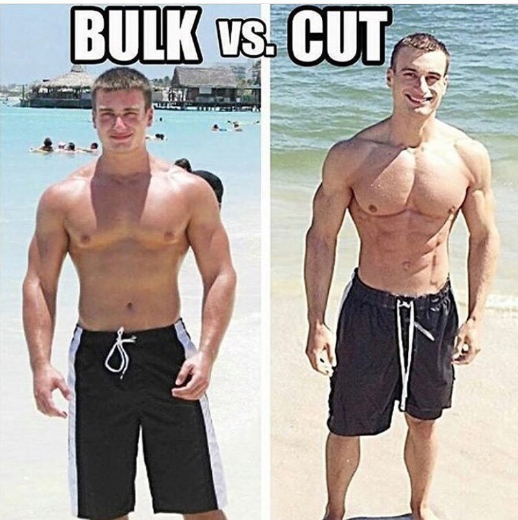 Cut vs Bulk 🤓 (I love training biceps) #armday #armtransformation  #bulkingseason #explorepage #explore
