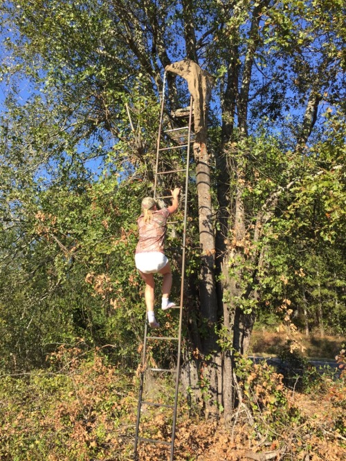 thebambinogirl:  I forgot my seat cushion in my stand this morning so after Daddy changed my diaper on the tailgate of the truck, he made me walk to my stand and climb up in it and get my seat cushion in just my shirt and diaper! No pants were allowed.