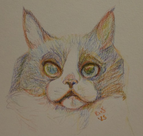 Rainbow Cat Dump Go!