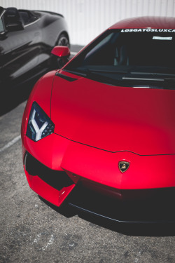 thephotoglife:  Aventador. 