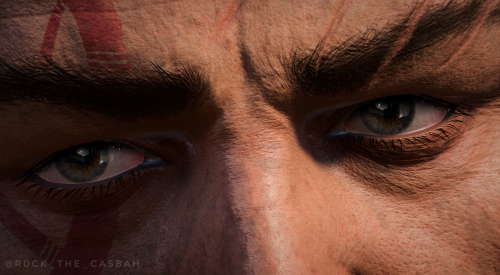 A Short Series With Companions' Eyes