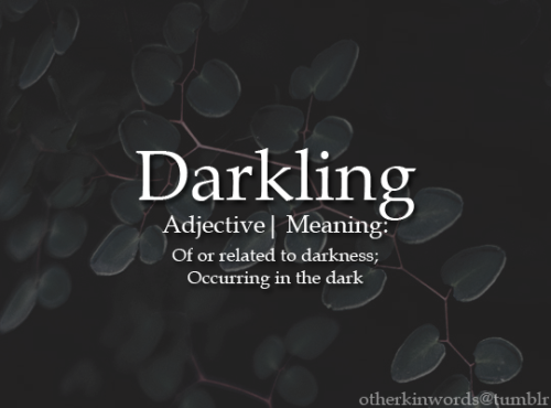otherkinwords:Darklingadjective |  Of or related to darkness; Occurring in the dark