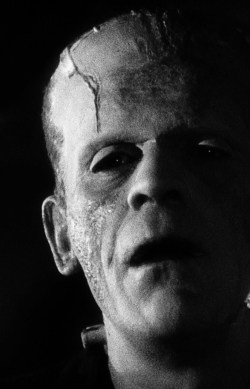 geoffrox:  “Perhaps death is sacred and I profaned it. For what a wonderful vision it was. I dreamed of being the first to give to the world the secret that God is so jealous of… The formula for life.&ldquo; | The Bride of Frankenstein (1935) 
