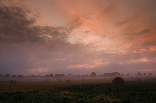 Purple morning on Flickr.