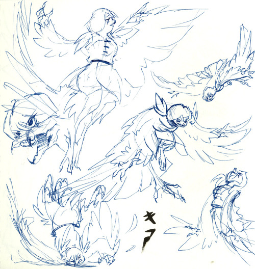 gracekraft:  After one of my late nights working on my paper until 5 am, I decided to just gesture draw for sanity.  And show Kia when she has her wings extended. 
