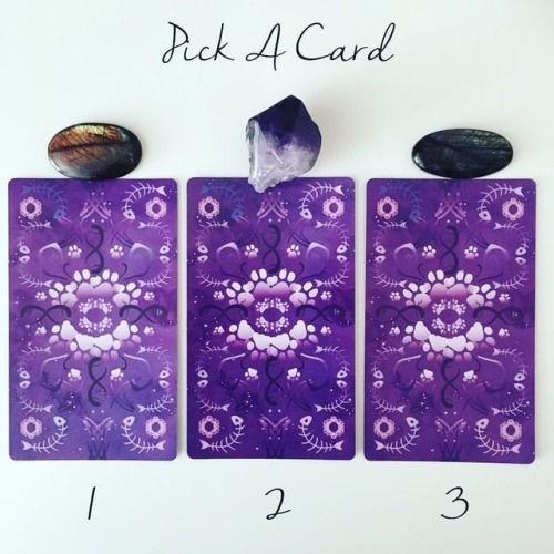 It’s Oracle Wednesday! Take a deep breath. Centre yourself and pick the card that you feel the