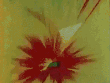 primal-slayer: Roy Harper aka Speedy/Red Arrow/Arsenal in animation