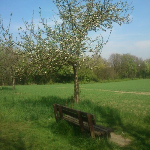 From This #bench There'a A Nice Panoramic View :) (en Studentenwohnheim Meitnerweg)
