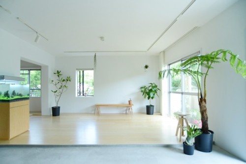 jp-arch:吉田裕一建築設計事務所 // 荏田・ROOM・M // 神奈川県横浜市 // 写真 : Haine Kusuki