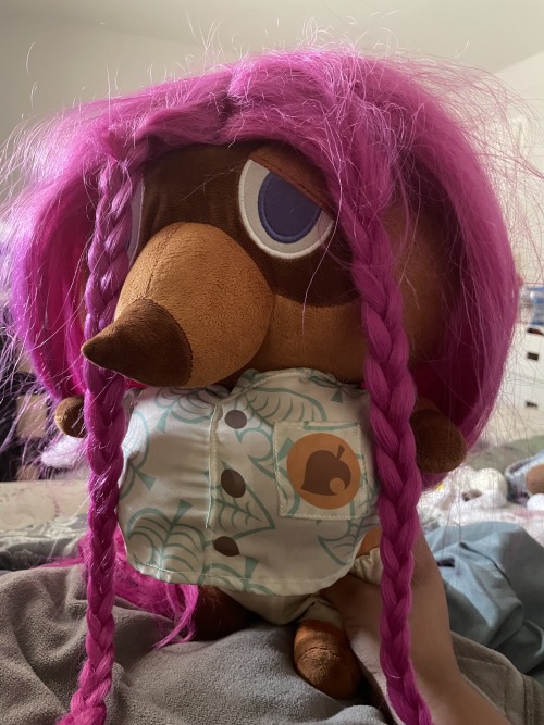 Yall I Think Theres Something Wrong With My Tom Nook