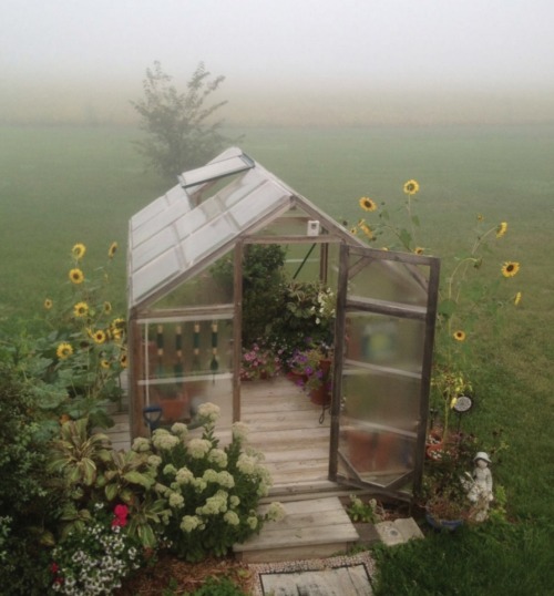 Foggy Morning Aes