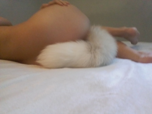 hornyropebunny: 😪Kitten relaxing😪  adult photos