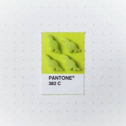 tinypmsmatch:  Pantone 382 color match. Lime dinosaur cake sprinkles. Couldn’t decide which one I liked best. 