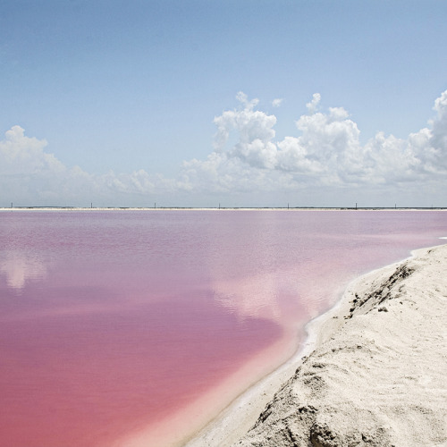 Sex studiovq: Pink lakes filled with salt. The pictures