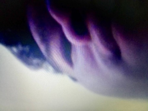 lionangkor:
ahzim99:


breaksecret469:

គ្រាន់តែចែករំលែកបទពិសោធន៍ ថ្ងៃមុនបានទៅ sex ជាមួយនឹងបងVid ពេទ្យធ្មេញនៅសៀមរាប គាត់ថាគាត់ប្រុសហើយ TOPទៀត តែគាត់ពូកែបៀមក្តណាស់លោកព្រះ បៀមឡើងខ្ញុំទ្រាំមិនបានចេញទឹកដាក់មាត់គាត់។ ក្តគាត់មានមមីសច្រើនណាស់ដុសត្រង់ៗហើយក្តគាត់ទំហំល្មមស្អាត ទឹកក្តច្រើនទៀត។ បើគាត់ sexបានតែម្តងហើយ គាត់លែងចង់ហើយ តែគាត់នឹងចូលចិត្ត sex ជាមួយនឹងមនុស្សភ្លែកមុខរហូត។ សម្រាប់អ្នកចង់សាកជាមួយគាត់អាចសាកបាន។ ចុយរកស្អាត សង្ហារ ហើយស្បែកសរទៀត​ហាហាហា# Gay dentist doctor from Siem Reap Province, I have full video clip when his having sex, Wanna see?

Ok sharing plz!!


Nice 