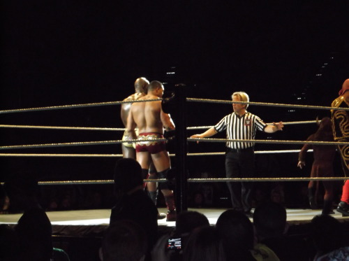 XXX stephluvzrasslin:  David Otunga, WWE LIVE! photo