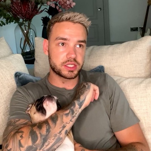 justapayneaway:Liam and Scooby: The most iconic puppies ever 