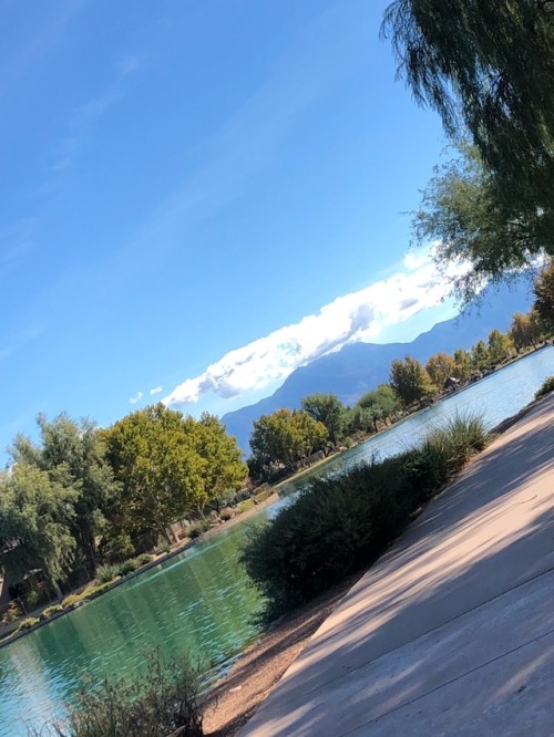 az-gamer-indeed:  Had a good day today.  But now I need to get over being sick…