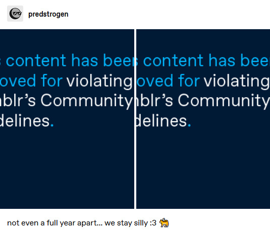 Tumblr media