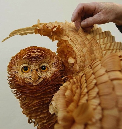 unicorn-meat-is-too-mainstream:INTRICATE ANIMALS MADE FROM WOOD CHIPS BY SERGEY BOBKOV