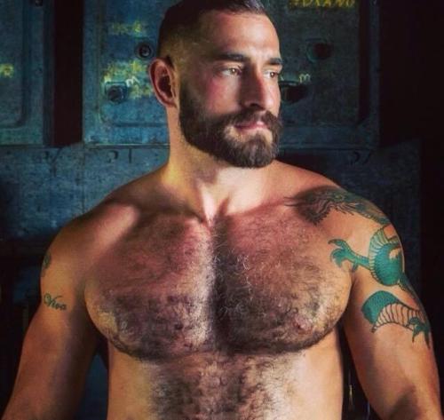 oofahpapa:  manlymuscle:  Bearded, hairy, inked, GOD   http://oofahpapa.tumblr.com/archive