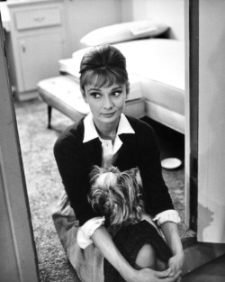 https://cupidon5757.tumblr.com/post/173298543793/onthesetwithaudreyhepburn-the-childrens-hour