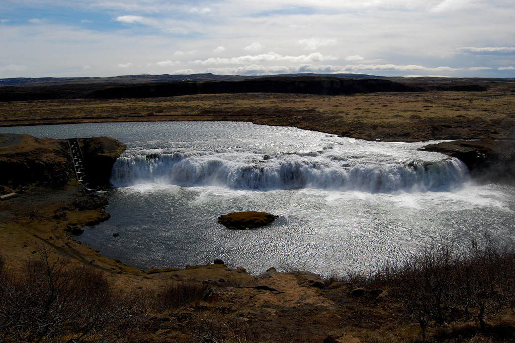 jacindaelena:     Matt Andrews || Iceland 