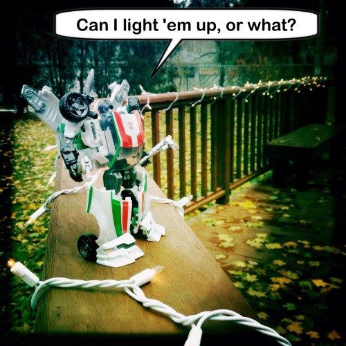 Wheeljack put some lights up on the deck last fall. He wanted to make them visible from space, but I