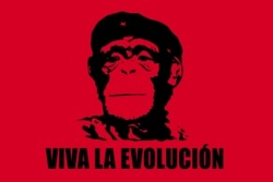 viva la evolucion