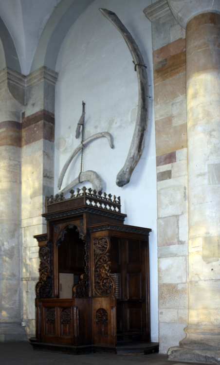 Whale bones, St. Maria im Kapitol, Cologne.