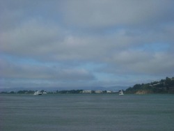 The Bay