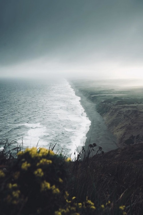 renamonkalou: Moody Coast -  Point Reyes National Seashore