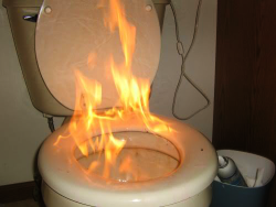 disinfecting the toilet